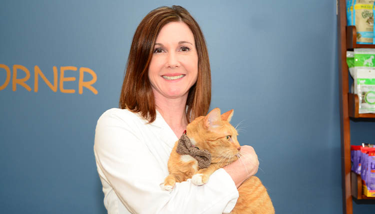 General Veterinary Medicine Cascade Summit Animal Hospital