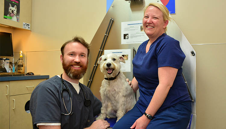 PREVENTIVE CARE WELLNESS PLANS Cascade Summit Animal Hospital