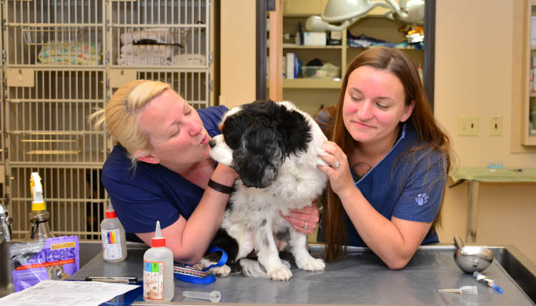 Support Staff at Cascade Summit Animal Hospital