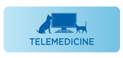 telemedicine-btn