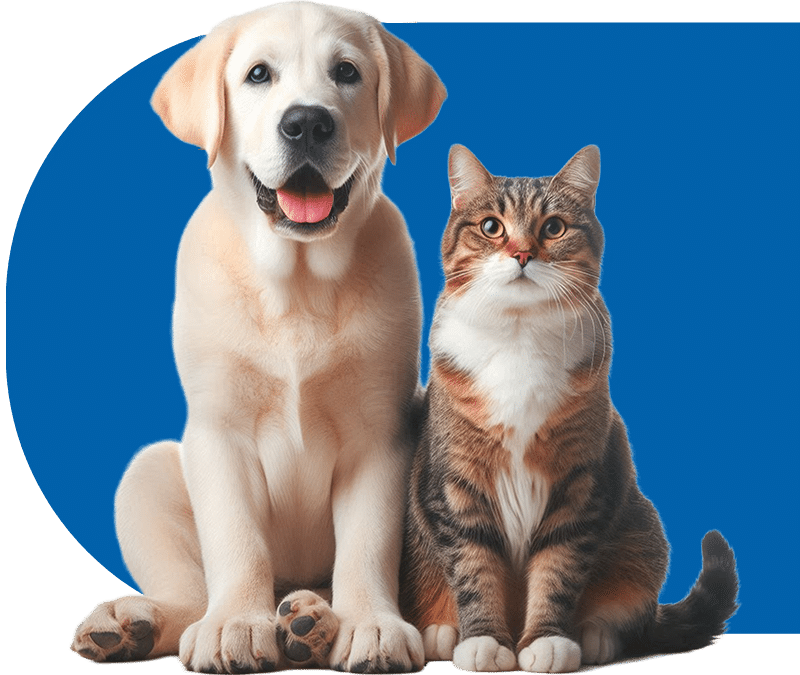 dog and cat cutout